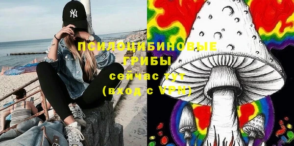 бошки Нягань