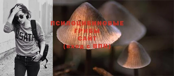 не бодяженный Няндома