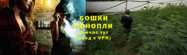 не бодяженный Няндома
