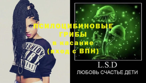 не бодяженный Няндома