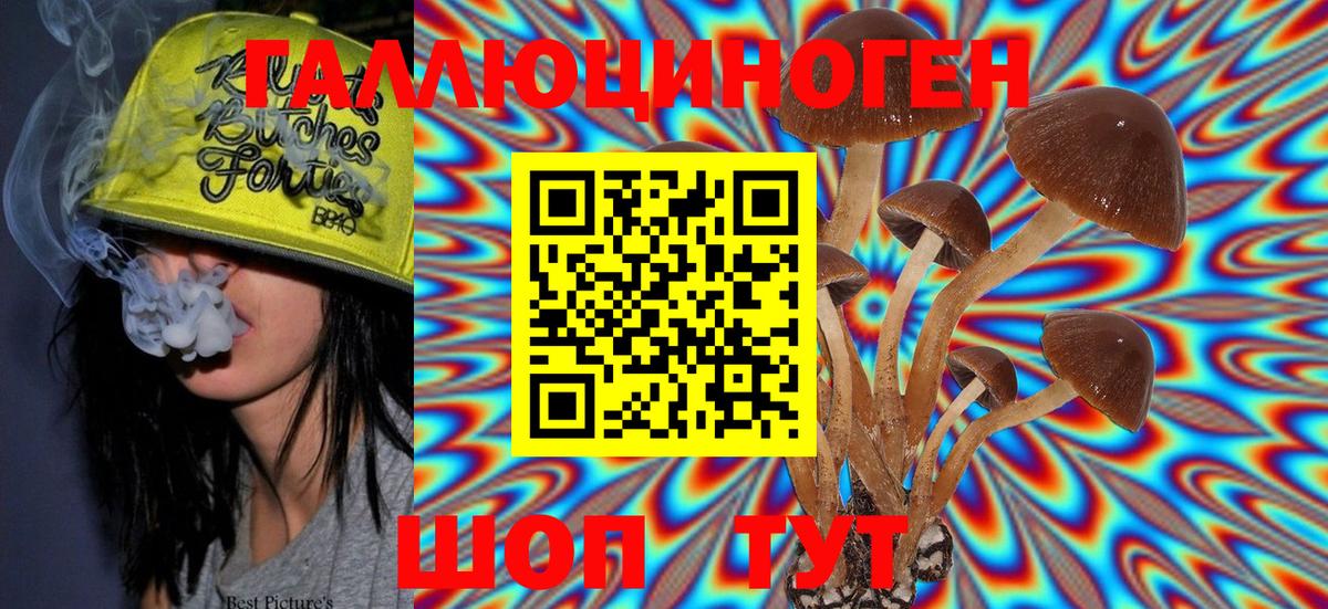 Псилоцибиновые грибы Psilocybine cubensis Мытищи