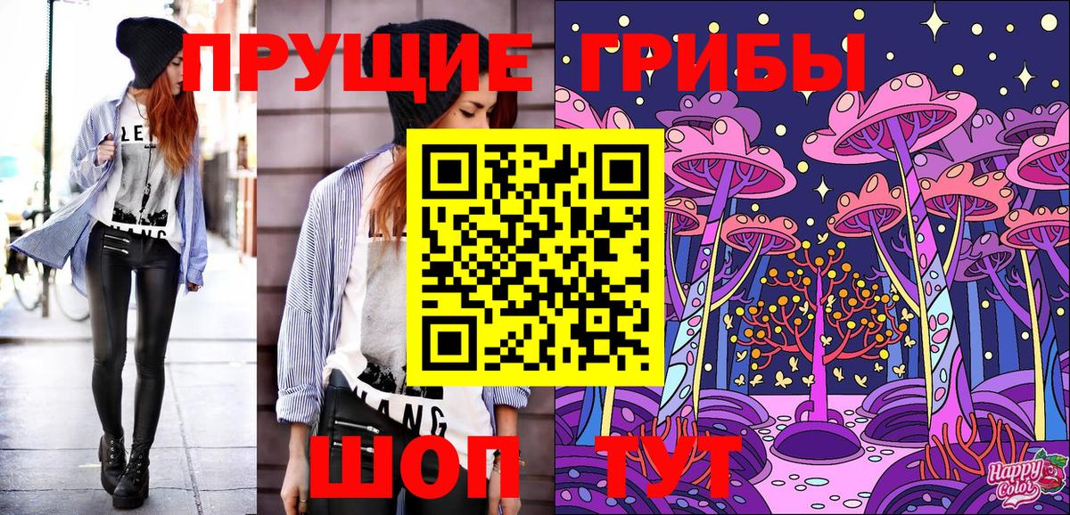 Мытищи  Псилоцибиновые грибы Psilocybe  Вход с VPN 