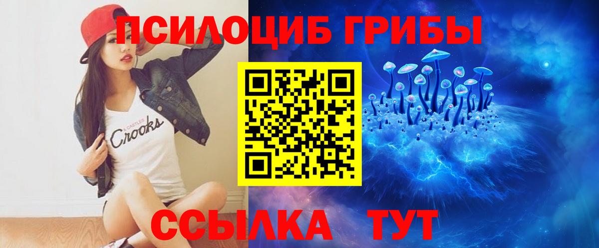 Мытищи  Псилоцибиновые грибы мицелий  Вход с VPN 