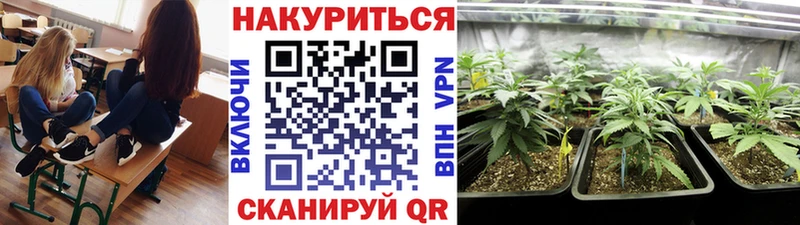 Бошки Шишки семена  Мытищи 